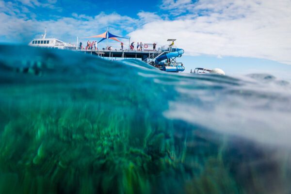 British & Irish Lions Supporters Tour Day 13, Melbourne 28/7/2025
Fans in Carins
Mandatory Credit ©INPHO/James Crombie