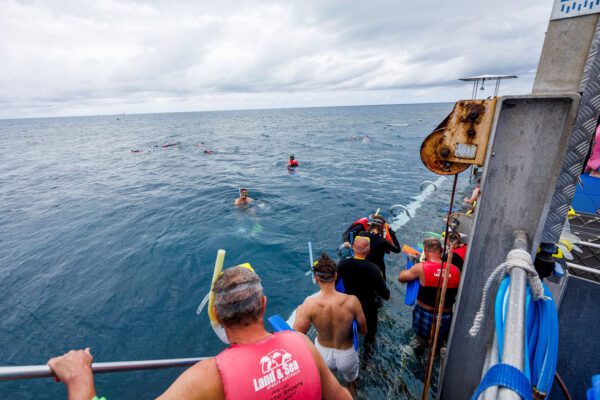 British & Irish Lions Supporters Tour Day 13, Melbourne 28/7/2025
Fans in Carins
Mandatory Credit ©INPHO/James Crombie