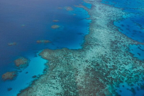 British & Irish Lions Supporters Tour Day 13, Melbourne 28/7/2025
Fans in Carins
Mandatory Credit ©INPHO/James Crombie